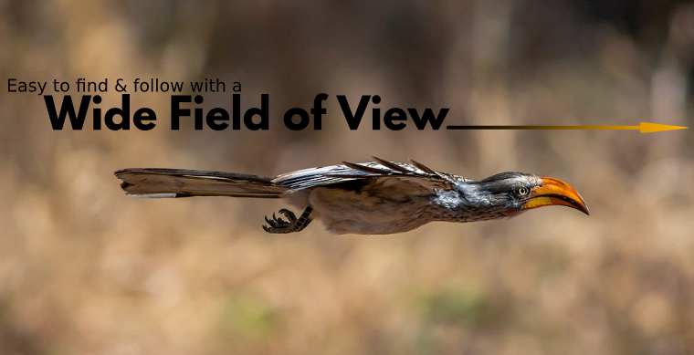 Wide Field of View makes it easier to find and follow birds