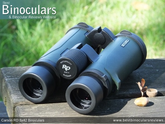 42mm Objective Lenses on the Carson RD 8x42 Binoculars