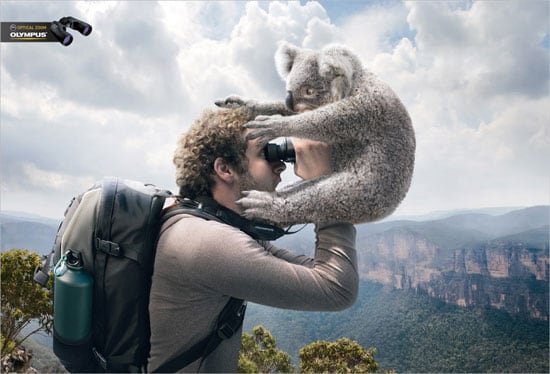 Olympus Binocular Koala Advert