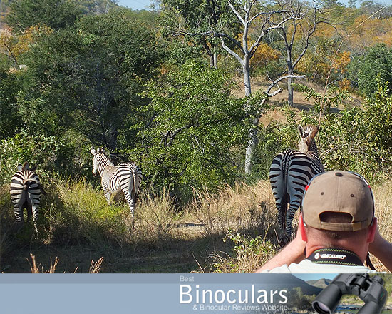 On Safari with Vanguard Spirit ED Binoculars