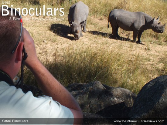 Using Binoculars on Safari