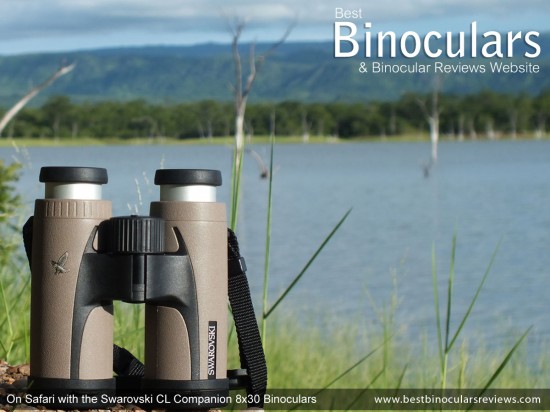 On Safari with the 8x30 Swarovski CL Companion Binoculars