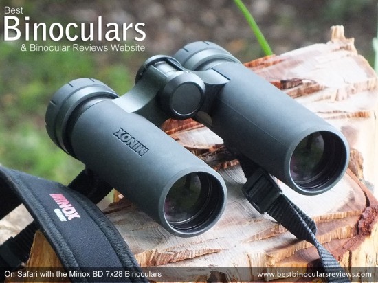 On Safari with the Minox BD 7x28 Binoculars