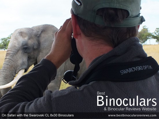 On Safari with Swarovski CL 8x30 Binoculars