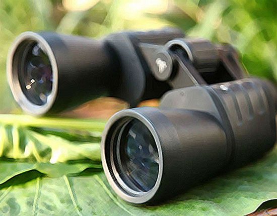 cheap binoculars