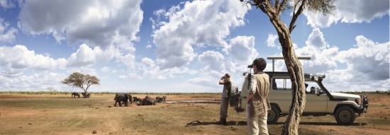 Swarovski Cl Companion Africa Binoculars on Safari