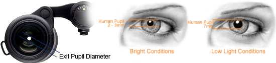 The relationship between the Exit Pupil and your eyes pupil diameter is important