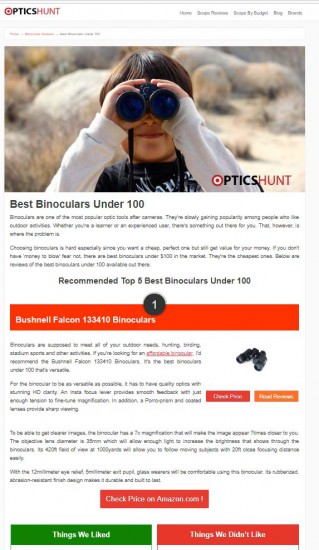 Screen-grab of the Best Binoculars Under 100  on OpticsHunt