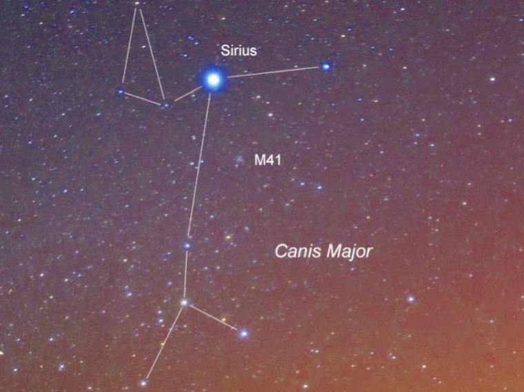 Canis Major featuring Sirius