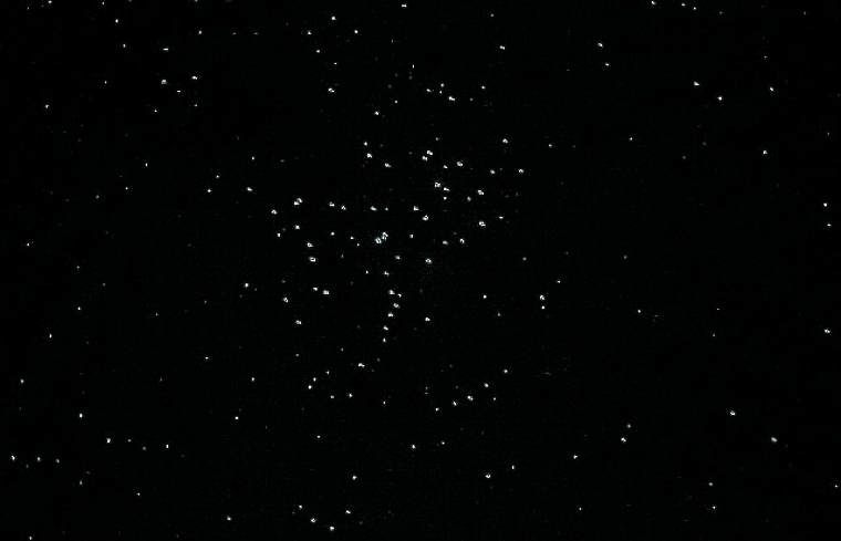 View of The Pleaiades with 70mm binoculars