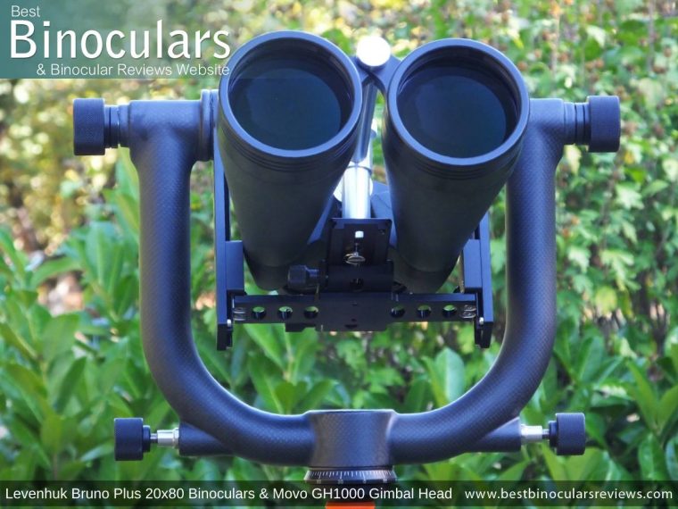 Levenhuk Bruno Plus 20x80 Binoculars & Movo GH1000 Gimbal Head