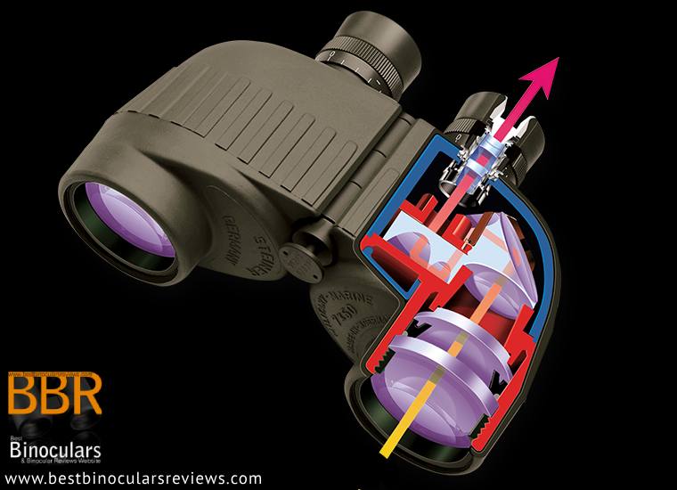 Light Traveling through a pair of Steiner porro prism binoculars