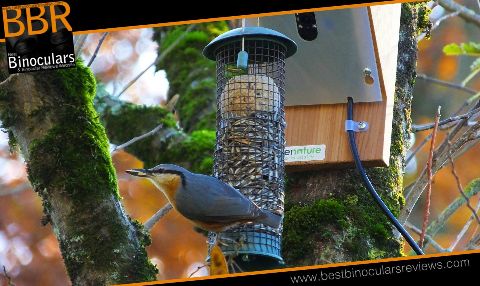 Gardenature Bird Feeder Camera Review Best Binocular Reviews