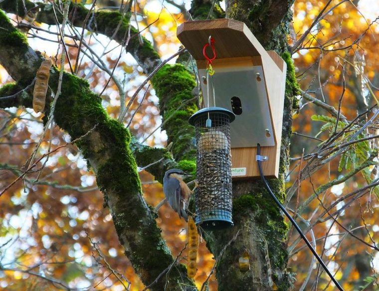 IP Bird Feeder Camera Housing