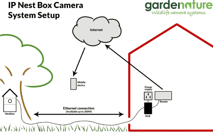 Network Setup