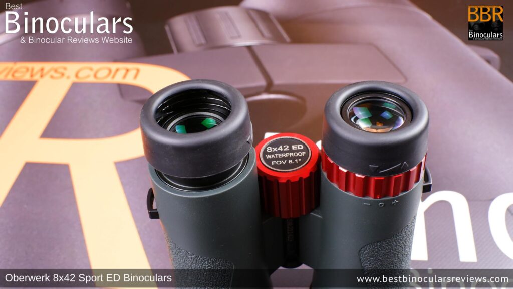 Twist-Up eyecups on the Oberwerk Sport ED 8x42 Binoculars