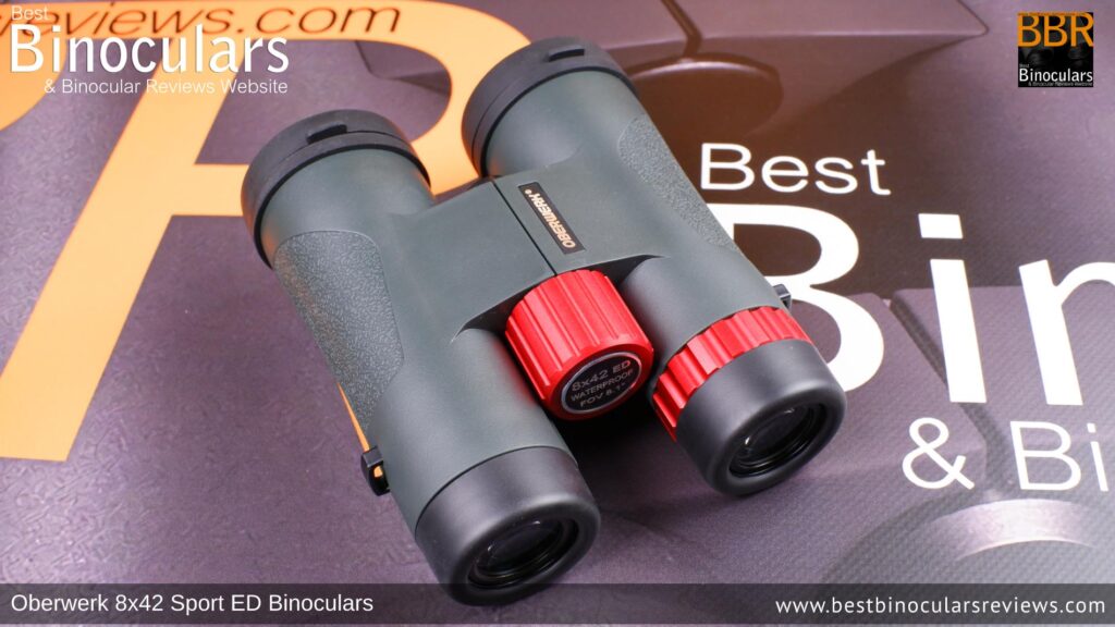 Oberwerk Sport ED 8x42 Binoculars