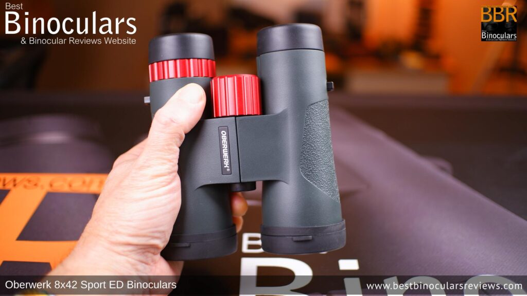 Holding the Oberwerk Sport ED 8x42 Binoculars in one hand
