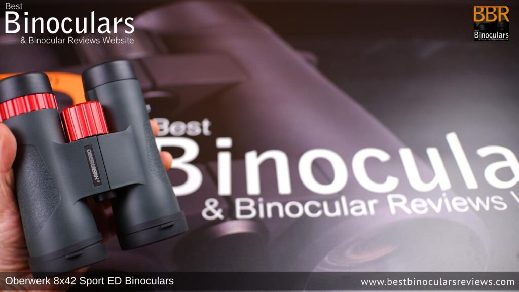 Holding the Oberwerk Sport ED 8x42 Binoculars in one hand