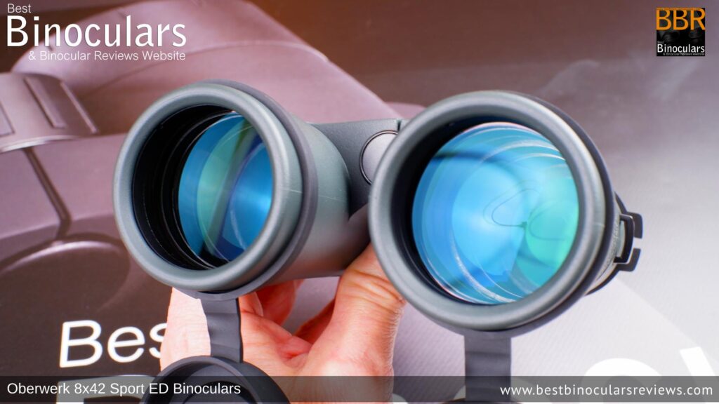42mm lenses on the Oberwerk Sport ED 8x42 binoculars