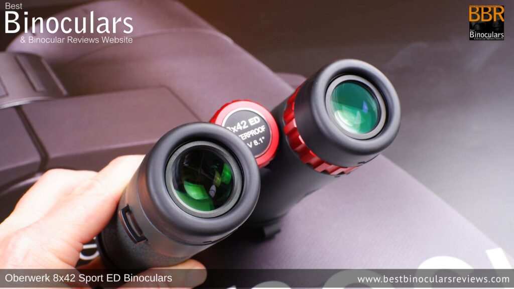 Ocular lenses on the Oberwerk Sport ED 8x42 binoculars