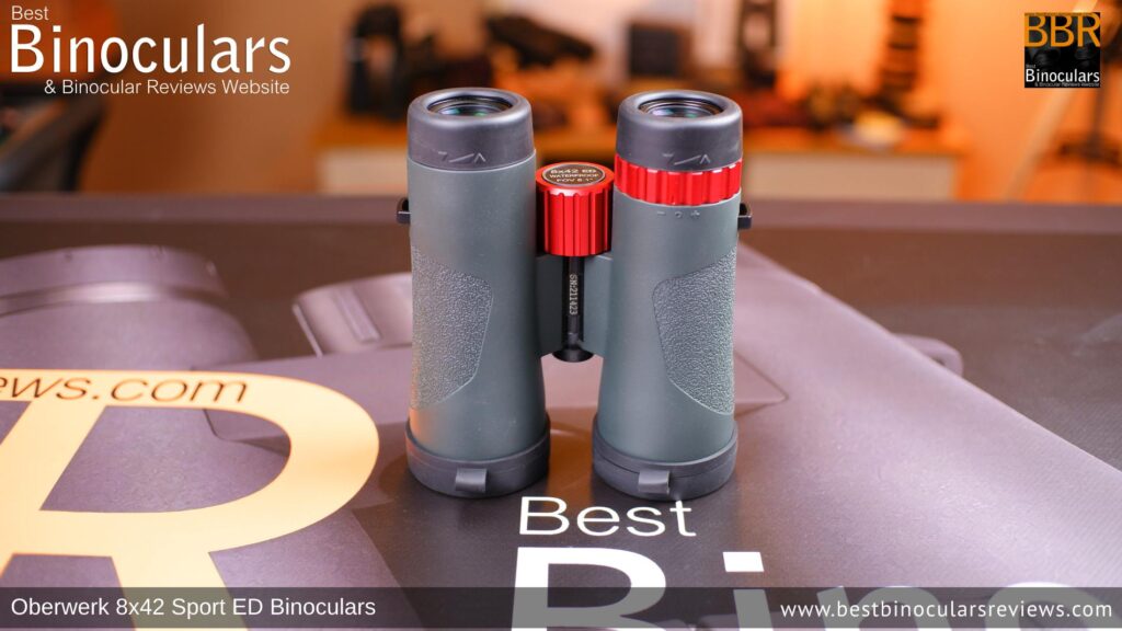 Underside view of the Oberwerk Sport ED 8x42 Binoculars