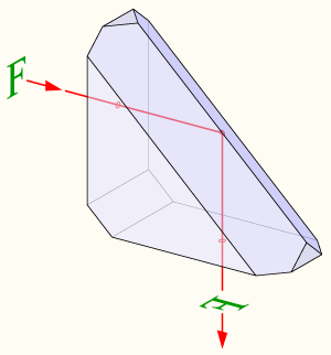 Amici Roof Prism