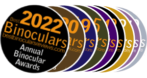 Annual Binocular Awards Logos