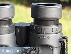 The eyecups and diopter adjustment ring on the Celestron Granite 8x42 Binoculars