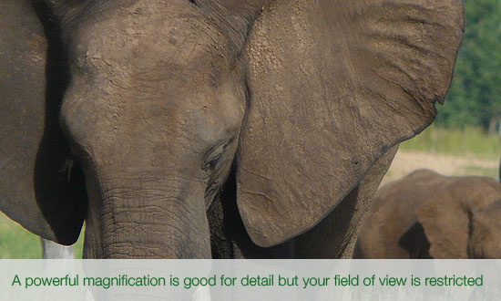 Powerful Magnification, smaller Field of View