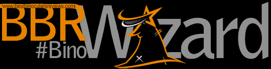 BinoWizard Logo