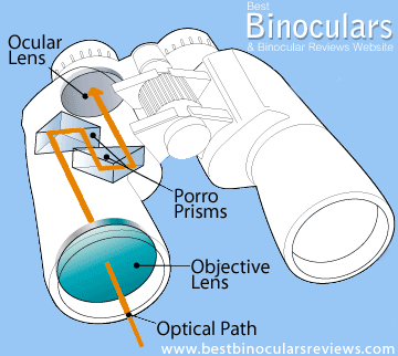 Porro Prism Binoculars