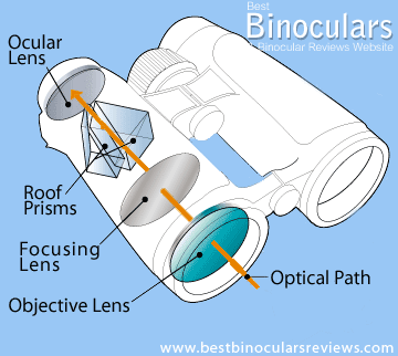 Roof Prism Design