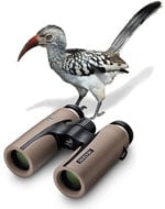 Swarovski CL Companion Binoculars