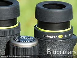 Eyecups on the Vanguard Endeavor ED 10x42 Binoculars