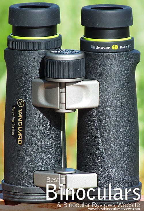 Vanguard Endeavor ED 10x42 Binoculars