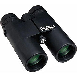 Bushnell 12x42 AW Binoculars