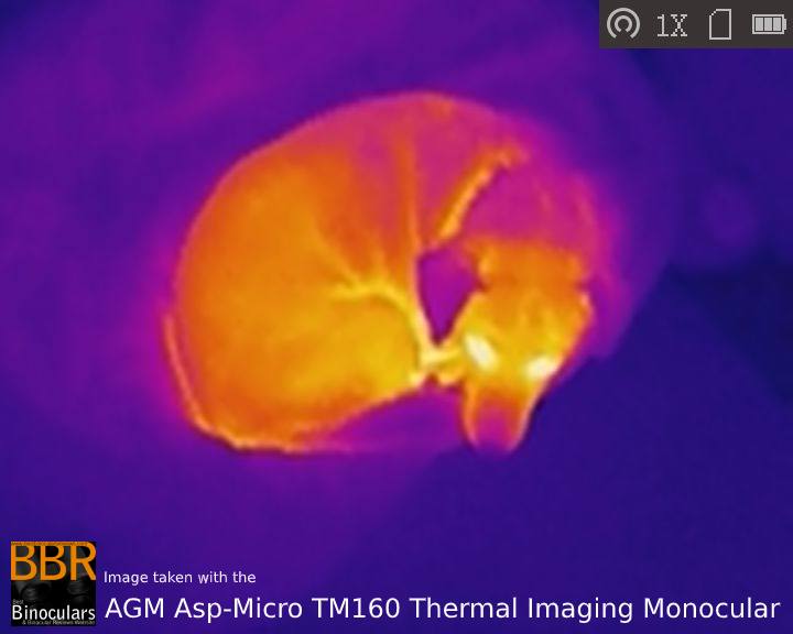 Sample Photo taken with the AGM Asp-Micro TM160 Thermal Imaging Monocular at Night