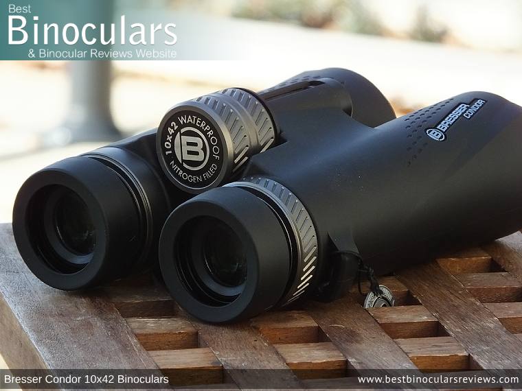 Focus Wheel on the Bresser Condor 10x42 Binoculars