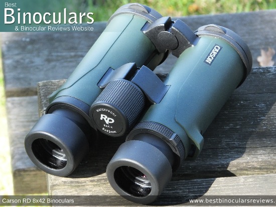 Focus Wheel on the Carson RD 8x42 Binoculars