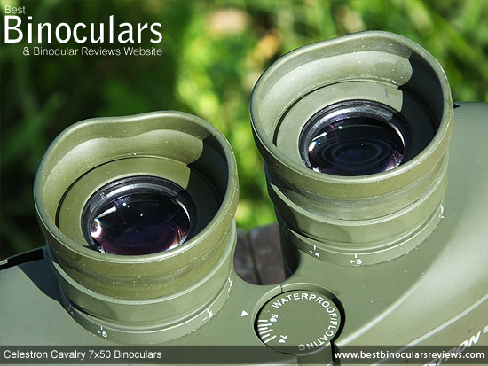 Eyecups on the Celestron Cavalry 7x50 Binoculars