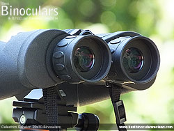 Eyecups on the Celestron Echelon 20x70 Binoculars