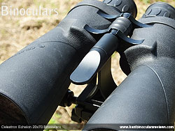 Celestron Echelon 20x70 Binoculars mounted on a tripod using a Tripod Adapter