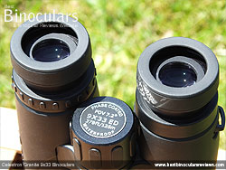 Eyecups on the Celestron Granite 9x33 Binoculars