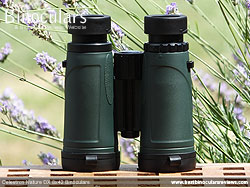 Rear of the Celestron Nature DX 8x42 Binoculars