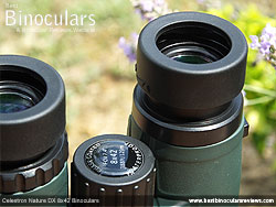 Eyecups on the Celestron Nature DX 8x42 Binoculars