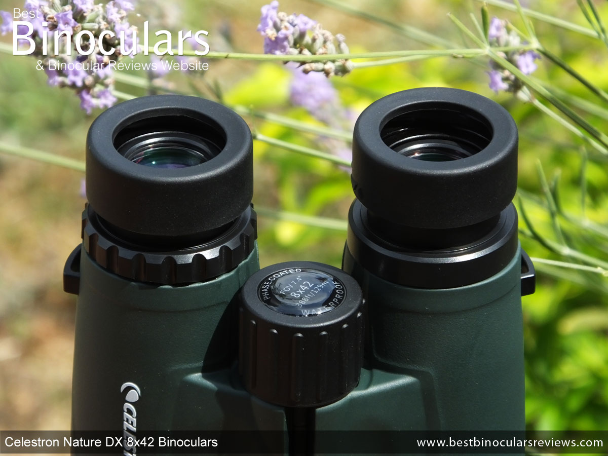 en gang score dyb Celestron Nature DX 8x42 Binoculars Review