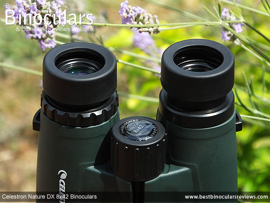 Focus Wheel on the Celestron Nature DX 8x42 Binoculars