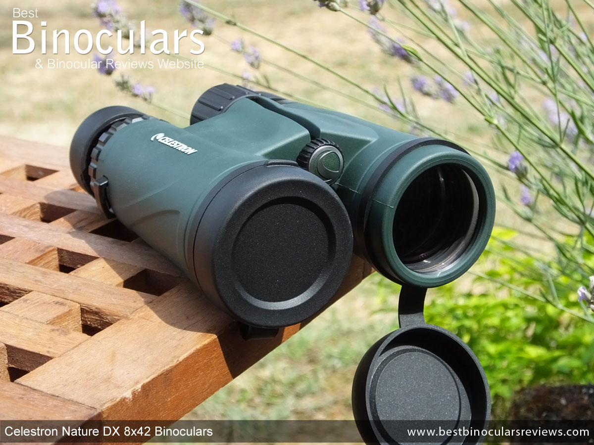 en gang score dyb Celestron Nature DX 8x42 Binoculars Review