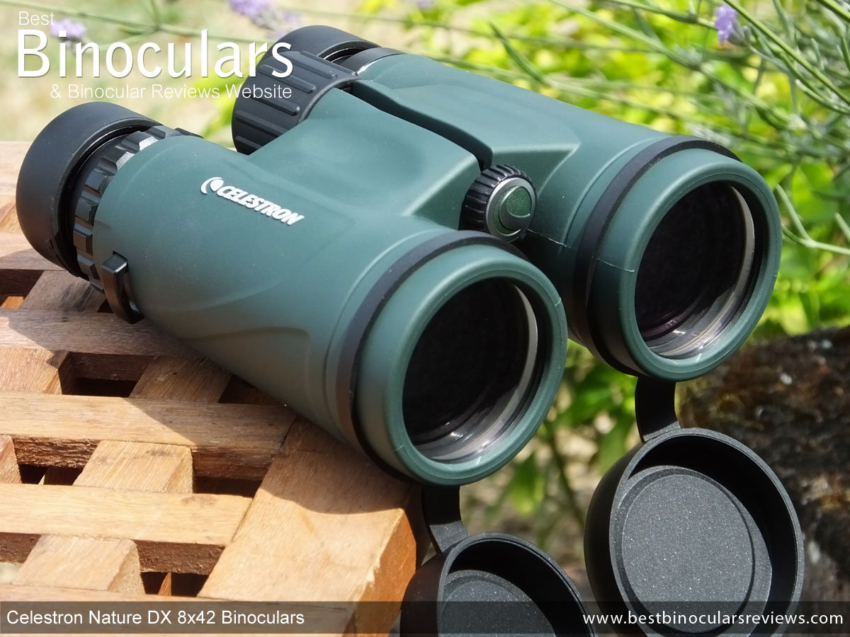 en gang score dyb Celestron Nature DX 8x42 Binoculars Review